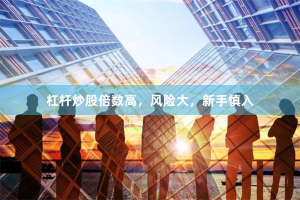 杠杆炒股倍数高，风险大，新手慎入